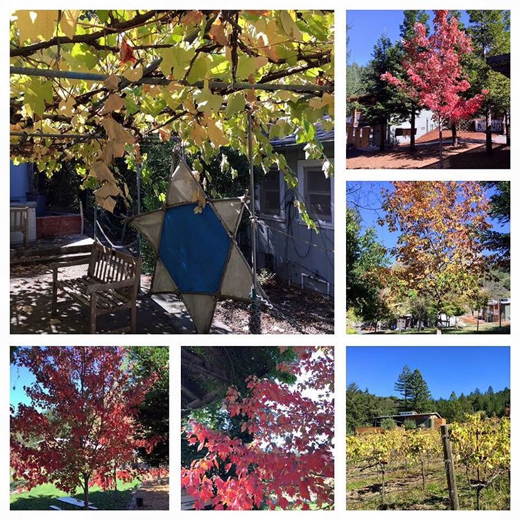 Fall colors at Camp Newman